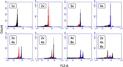 Phenotypic characterization, plant growth and development, genome methylation, and mineral elements composition of neotetraploid lettuce (Lactuca sativa L.)